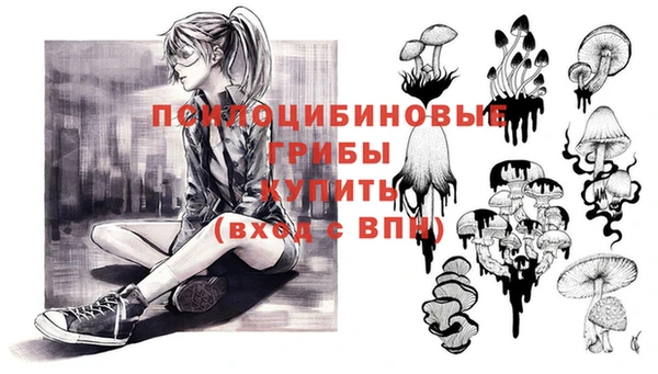 Альфа ПВП Мегион