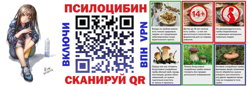 Купить где  Отрадная  Галлюциногенные грибы прущие грибы 
